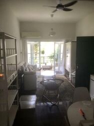 Spanish Village (D10), Condominium #495799391